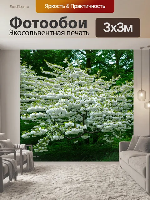 Фотообои цветущее весеннее утро в каком-то уединенном лесу