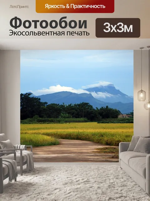 Фотообои Дорога