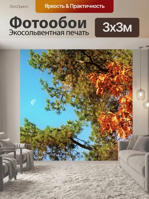 Фотообои Дерево