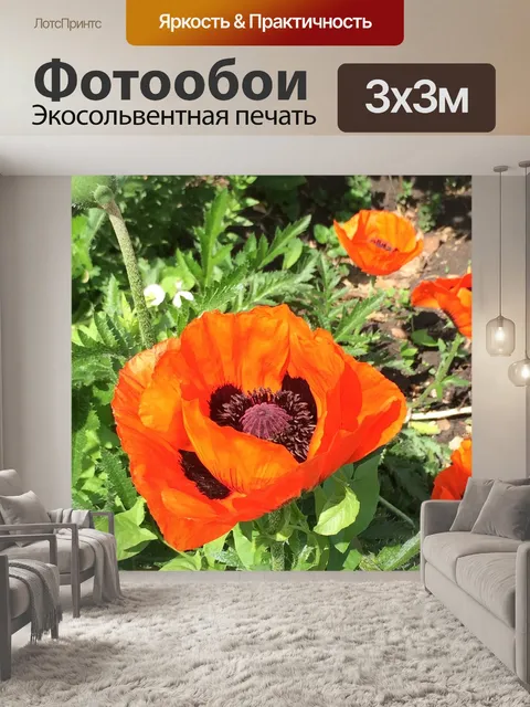 Фотообои Цветы