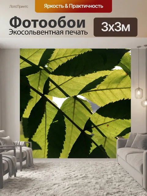 Фотообои Листья