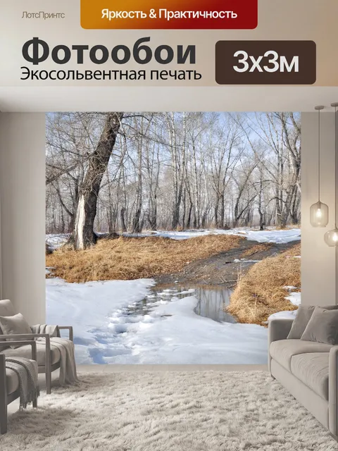 Фотообои Пейзаж со снегом