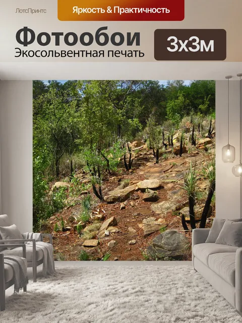 Фотообои черные палочные лилии с длинными листьям