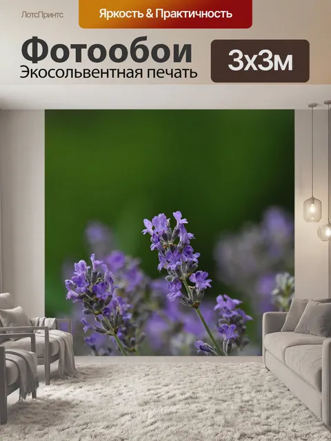Фотообои Лаванда