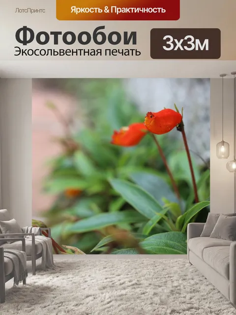 Фотообои Цветы