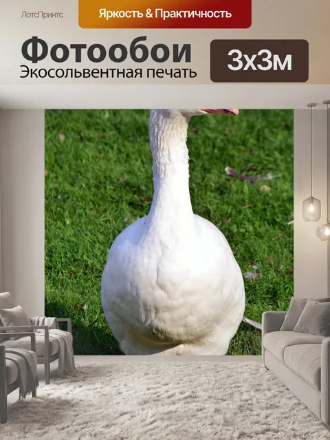 Фотообои Птица