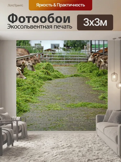 Фотообои Еда