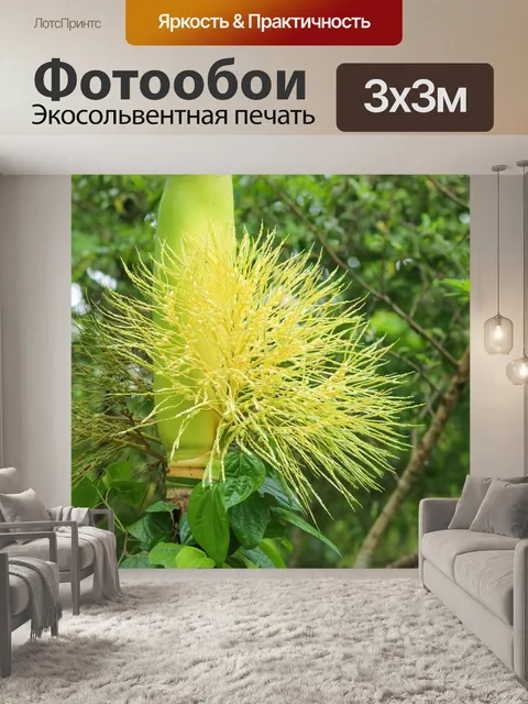 Фотообои Цветок