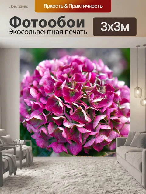 Фотообои Цветы