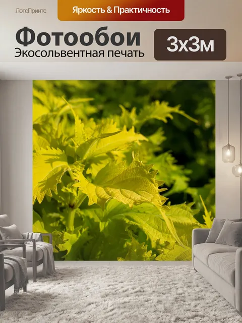 Фотообои Листья