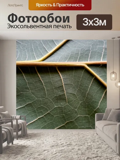 Фотообои крупный лист текстуры закрыть
