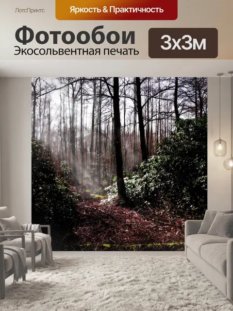 Фотообои Осенний пейзаж лесных деревьев