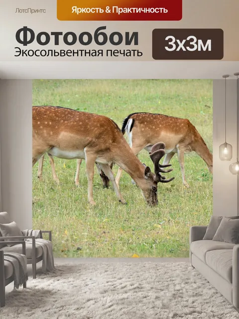 Фотообои Олень