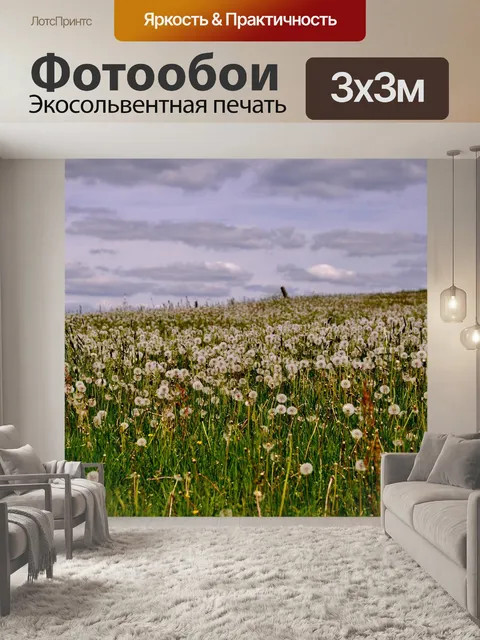 Фотообои Одуванчики