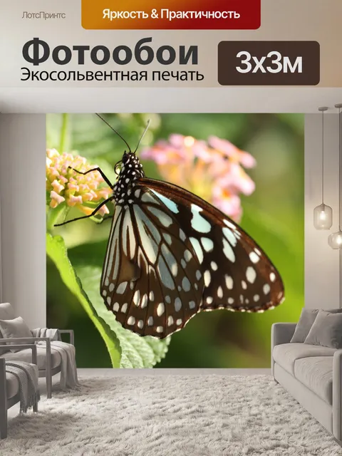 Фотообои Бабочка