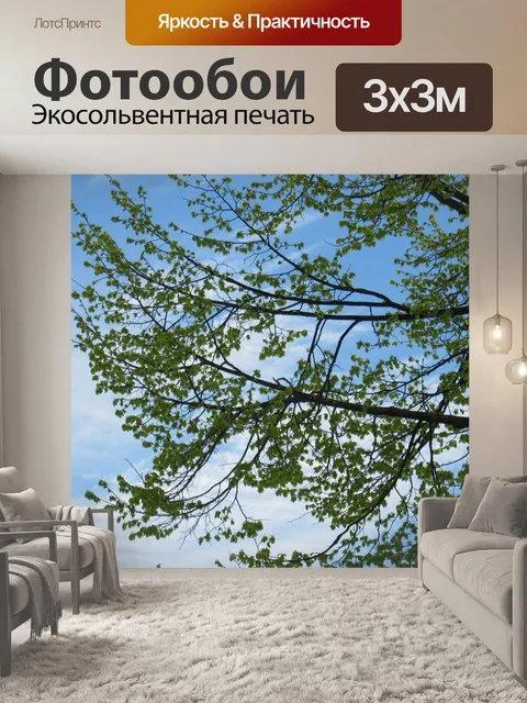 Фотообои Ветви