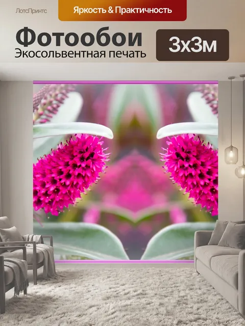 Фотообои Цветы, рамка