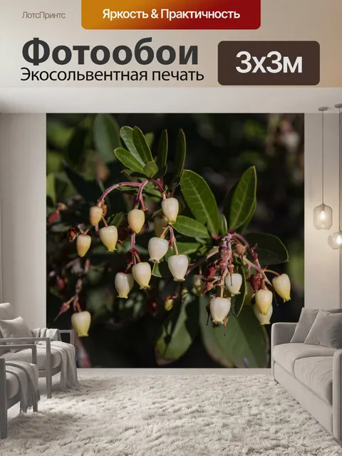 Фотообои Цветы земляничного дерева