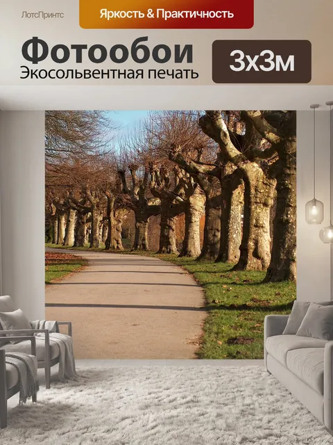 Фотообои Деревья