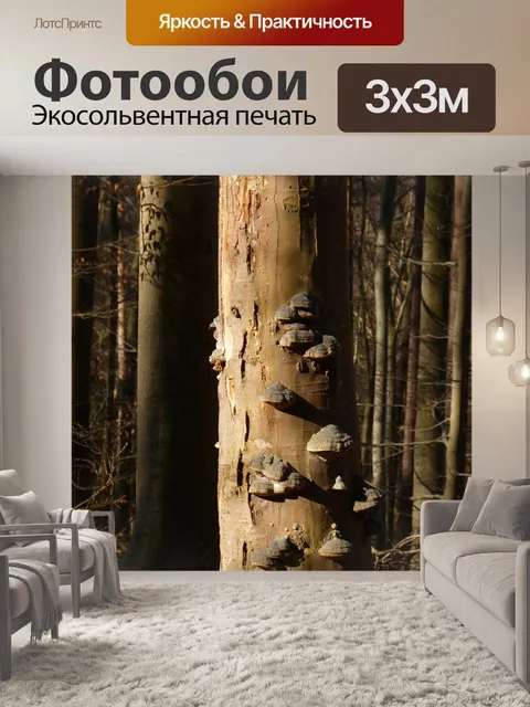Фотообои Лес