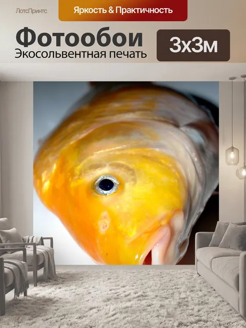 Фотообои Пресноводная рыба фото