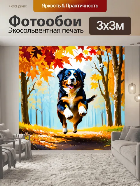 Фотообои собака бернской зенненхунд ловит мяч, прыгая в воздухе на фоне осенних листьев