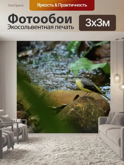 Фотообои Птица