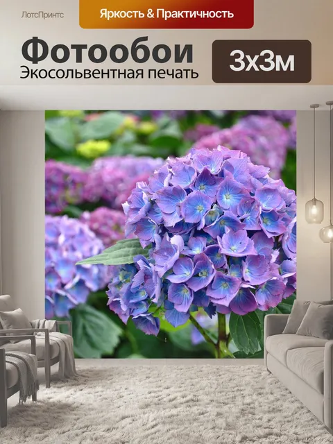 Фотообои Цветы