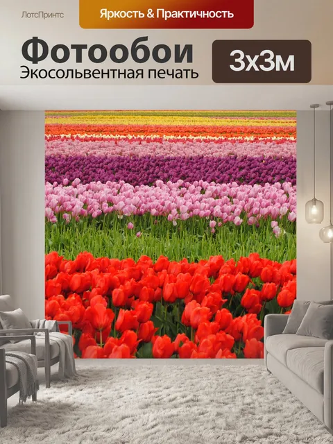 Фотообои Тюльпаны