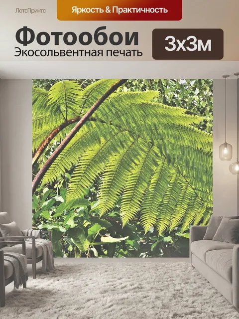 Фотообои Пальма