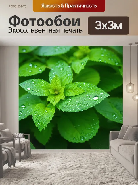 Фотообои мятный цвет, мятные капли, скатанные на листьях, утренний свет, свежесть и нежность, жизнь в каждом углу