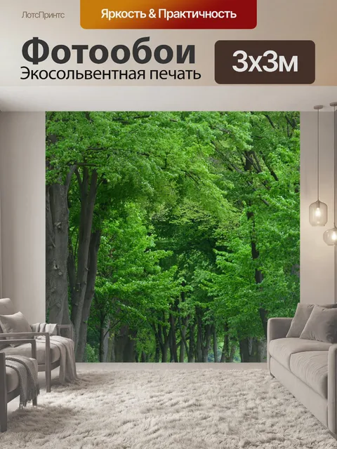Фотообои Обсаженном деревьями проспекте