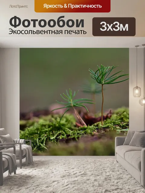 Фотообои Лес