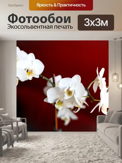 Фотообои Цветы