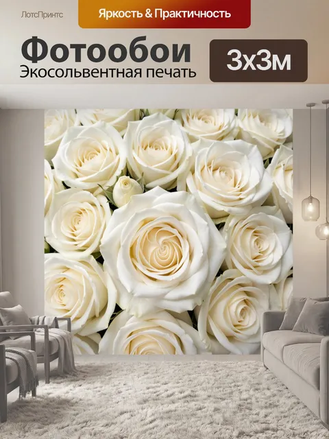 Фотообои Букет белых роз крупным планом