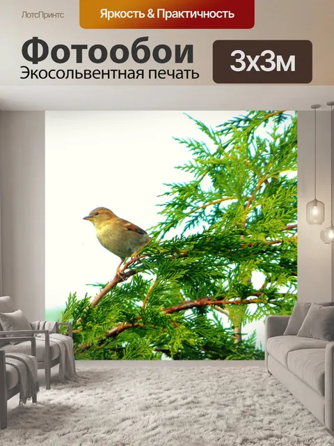 Фотообои Птица