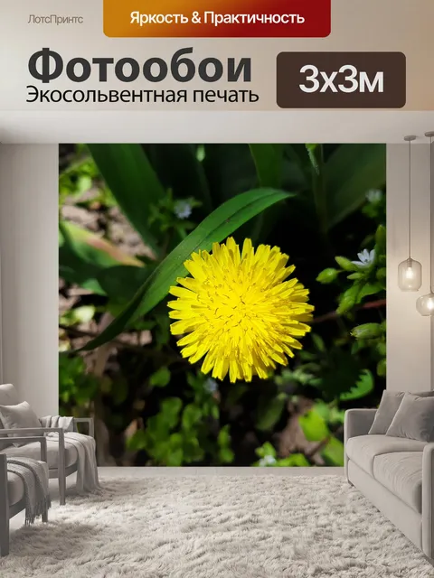 Фотообои Весна