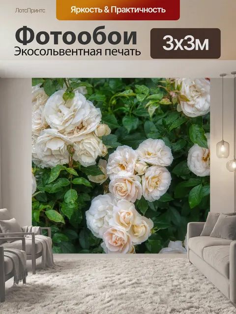 Фотообои Розовый куст