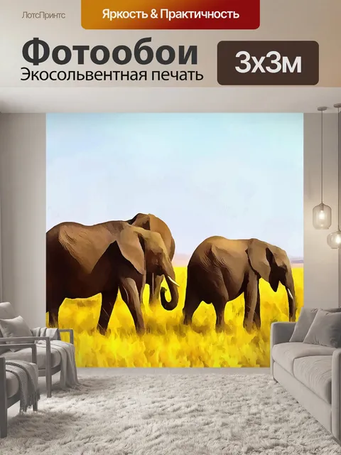 Фотообои Слоны