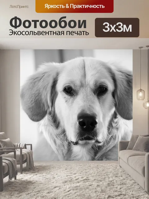 Фотообои Золотой