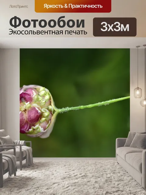 Фотообои Бутон