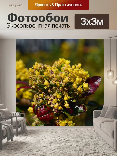 Фотообои Цветы