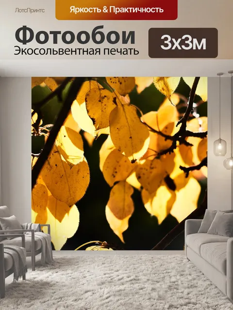 Фотообои Осень