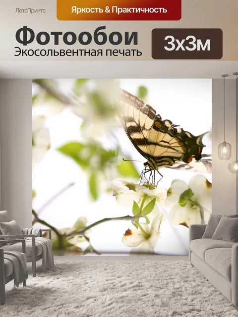 Фотообои Бабочка