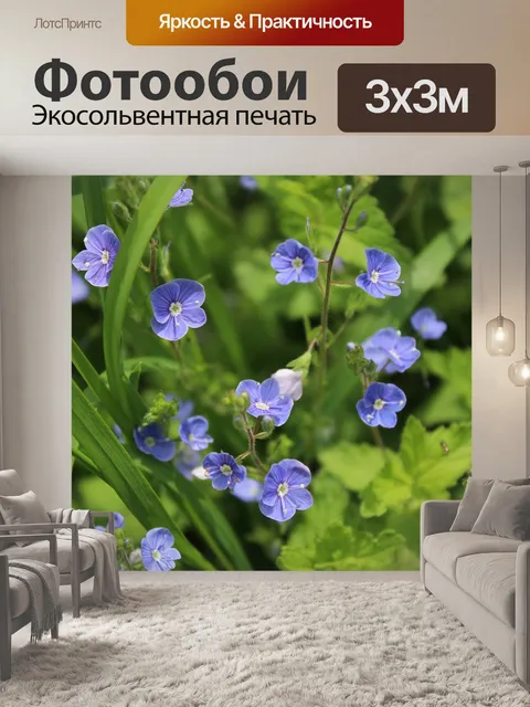 Фотообои Голубые цветы