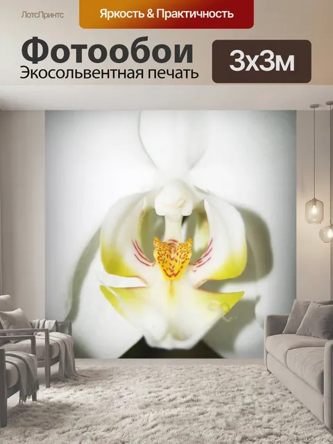 Фотообои Цветок
