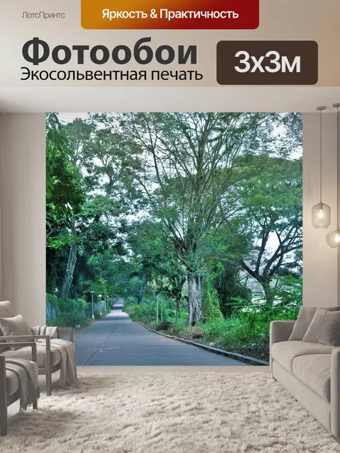 Фотообои Долгий путь