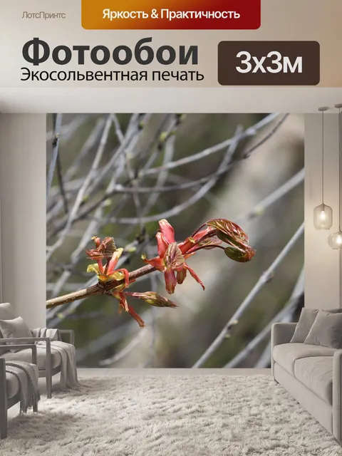 Фотообои Природа