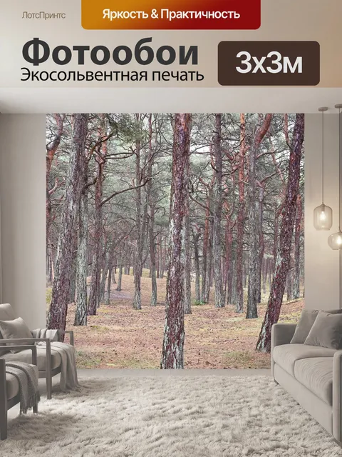 Фотообои Лес