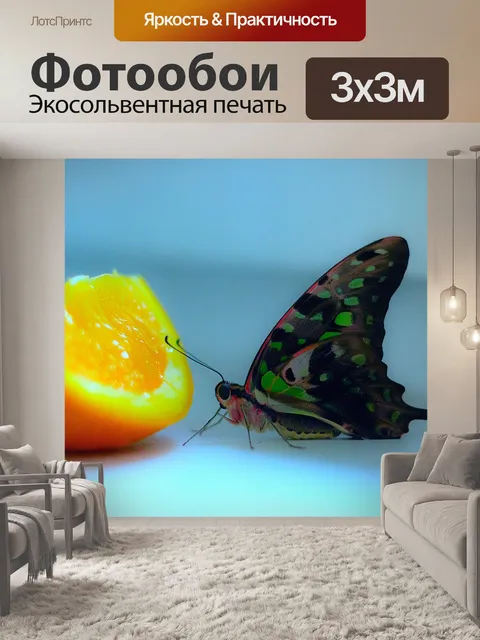 Фотообои Тропические бабочки